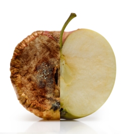 Manzana- discernimiento