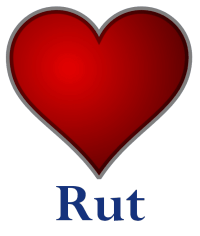 Rut: Meditaciones