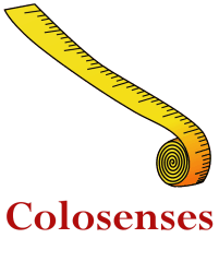 Colosenses: Medidas