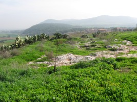 Jezreel, donde Jehú ejecutó a la familia de Acab.