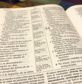 Biblia de Estudio con notas y referencias cruzadas